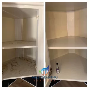 cleaning cabinet in Dudley before and after